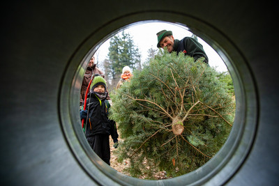 Weihnachtsbaum in der Netztrommel 